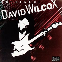 The Best Of David Wilcox 1985 David Wilcox The Best Of David Wilcox 1985 David Wilcox