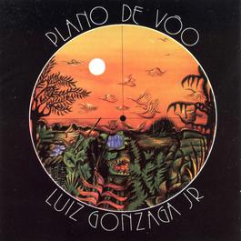 Plano De Voo 2005 Luiz Gonzaga Plano De Voo 2005 Luiz Gonzaga