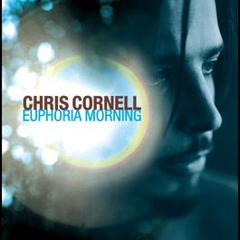 Euphoria Morning 1999 Chris Cornell Euphoria Morning 1999 Chris Cornell