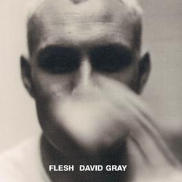 Flesh 1994 David Gray Flesh 1994 David Gray