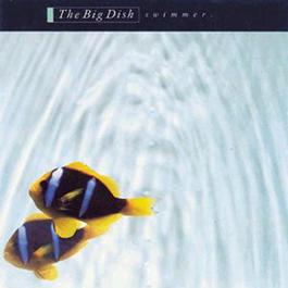 Swimmer 1986 The Big Dish Swimmer 1986 The Big Dish