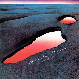 All For You 1979 Simple Minds All For You 1979 Simple Minds