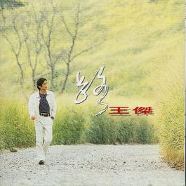 You Will Finally Understand One Day 1993 王杰 You Will Finally Understand One Day 1993 王杰