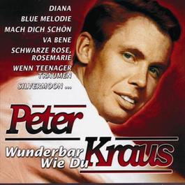 Wunderbar wie Du 2000 Peter Kraus Wunderbar wie Du 2000 Peter Kraus