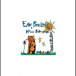 Shooting Rubberbands At The Stars 1988 Edie Brickell & New Bohemians Shooting Rubberbands At The Stars 1988 Edie Brickell & New Bohemians