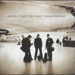 อัลบั้ม All That You Can't Leave Behind