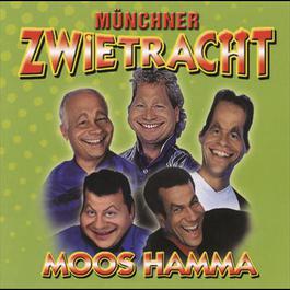 Moos hamma 2001 Münchner Zwietracht Moos hamma 2001 Münchner Zwietracht