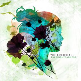 The Bright Sadness 2008 Charlie Hall The Bright Sadness 2008 Charlie Hall