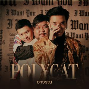 อัลบัม อาวรณ์ ศิลปิน Polycat