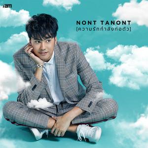 อัลบัม ความรักกำลังก่อตัว - Single ศิลปิน NONT TANONT