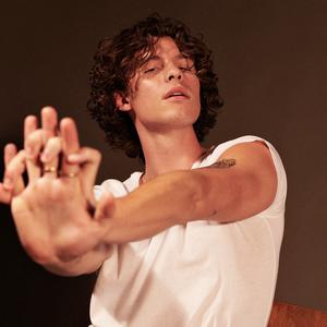 Shawn Mendes ดาวน์โหลดและฟังเพลงฮิตจาก Shawn Mendes