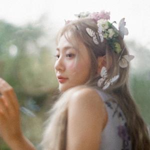 Bolbbalgan4