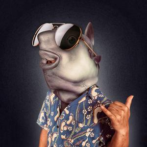 Mola mola Sunshine!