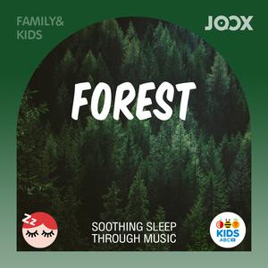Forest - Soothing Sleep Through Music