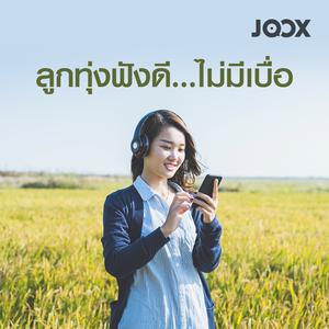 ลูกทุ่งฟังดี...ไม่มีเบื่อ
