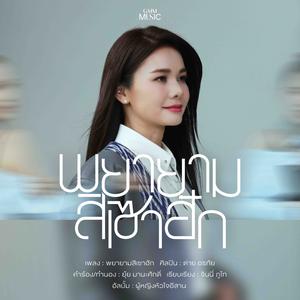 เพลย์ลิสต์ใหม่ New Country | เพลงลูกทุ่งใหม่ล่าสุด
