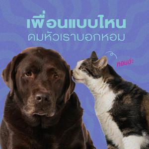 เพื่อนแบบไหน ดมหัวเราบอกหอม