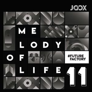Melody of Life 11