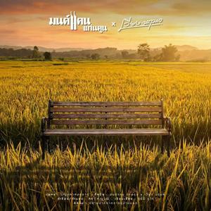 เพลย์ลิสต์ใหม่ ลูกทุ่งสามช่า