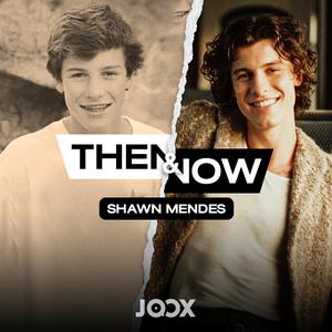 Best of Shawn Mendes