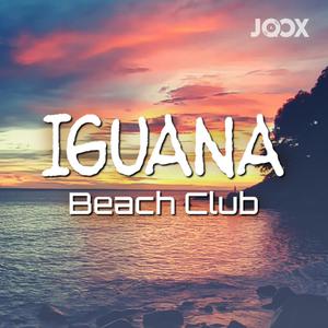 Iguana Beach Club