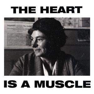 Listen to The Heart Is a Muscle song with lyrics from Gang of Youths