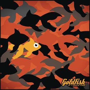 Listen to If I Could Find - Single version song with lyrics from Goldfish