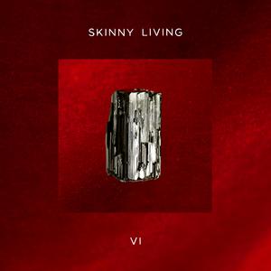 Listen to Let Me In song with lyrics from Skinny Living