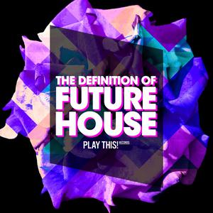 Album The Definition of Future House from Various Artists