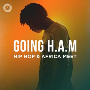 Going H.A.M: Hip Hop & Africa Meet