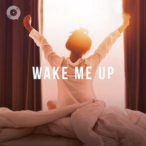 Wake Me Up