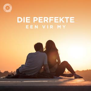 Die Perfekte Een Vir My