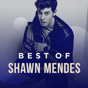 Best of Shawn Mendes